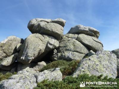 Senda Herreros - Puerto de Navacerrada - Valle de Fuenfría - Ducha de los Alemanes -Embalse Berceas